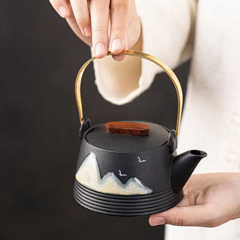 Japanese Black and Designer Ceramic Teapot 290ml