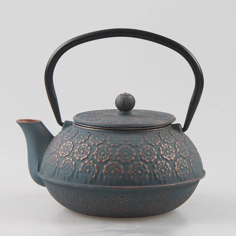 Japanese Cast Iron Teapot with Raised Floral Pattern 600 ml