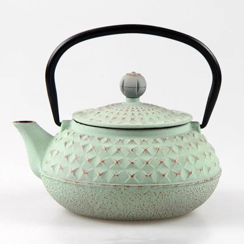 Japanese Cast Iron Teapot with Spikes 600ml
