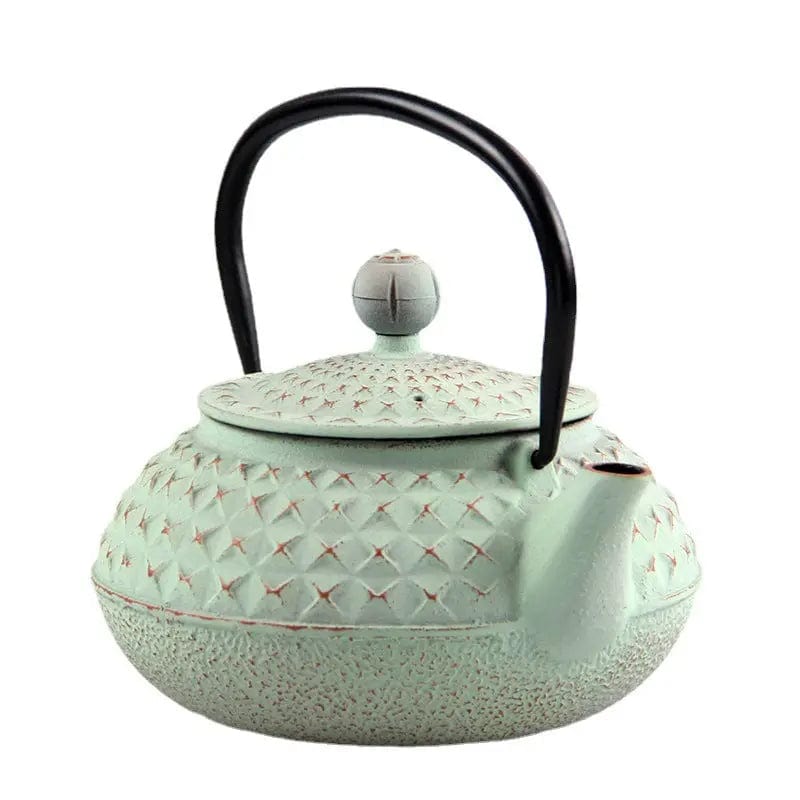 Japanese Cast Iron Teapot with Spikes 600ml