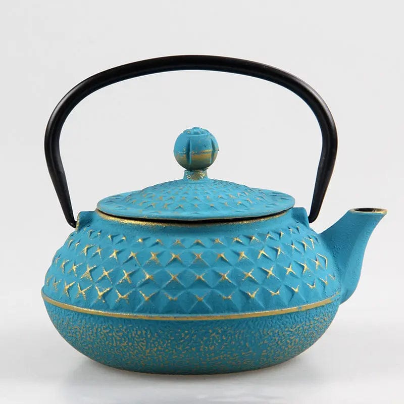 Japanese Cast Iron Teapot with Spikes 600ml