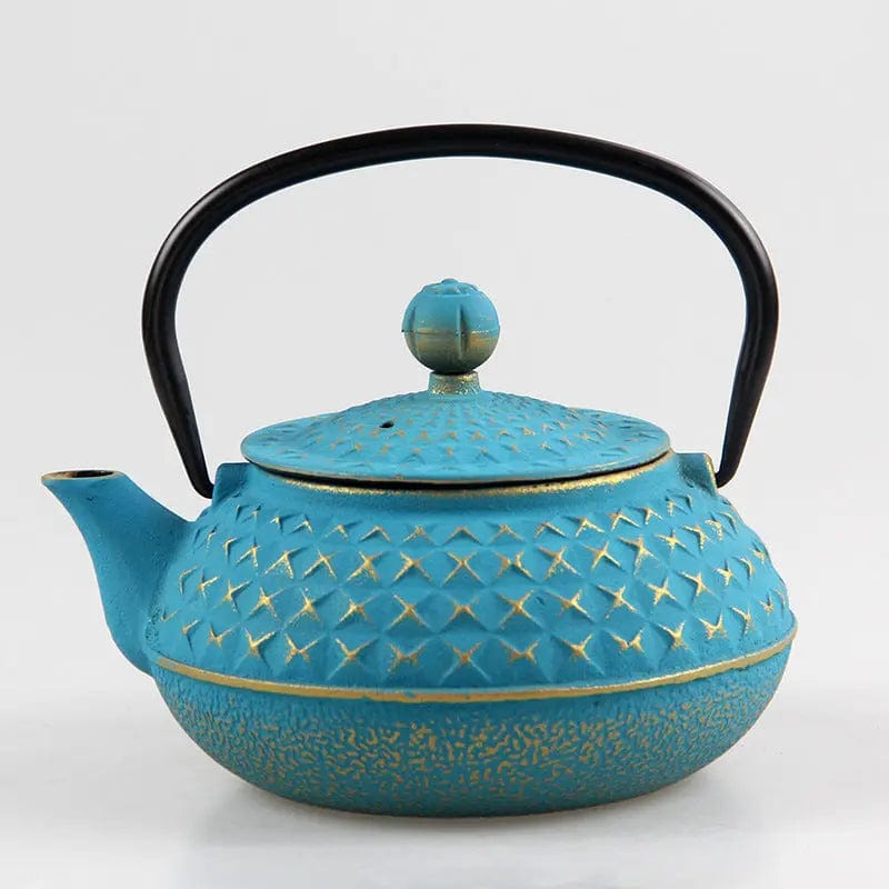 Japanese Cast Iron Teapot with Spikes 600ml