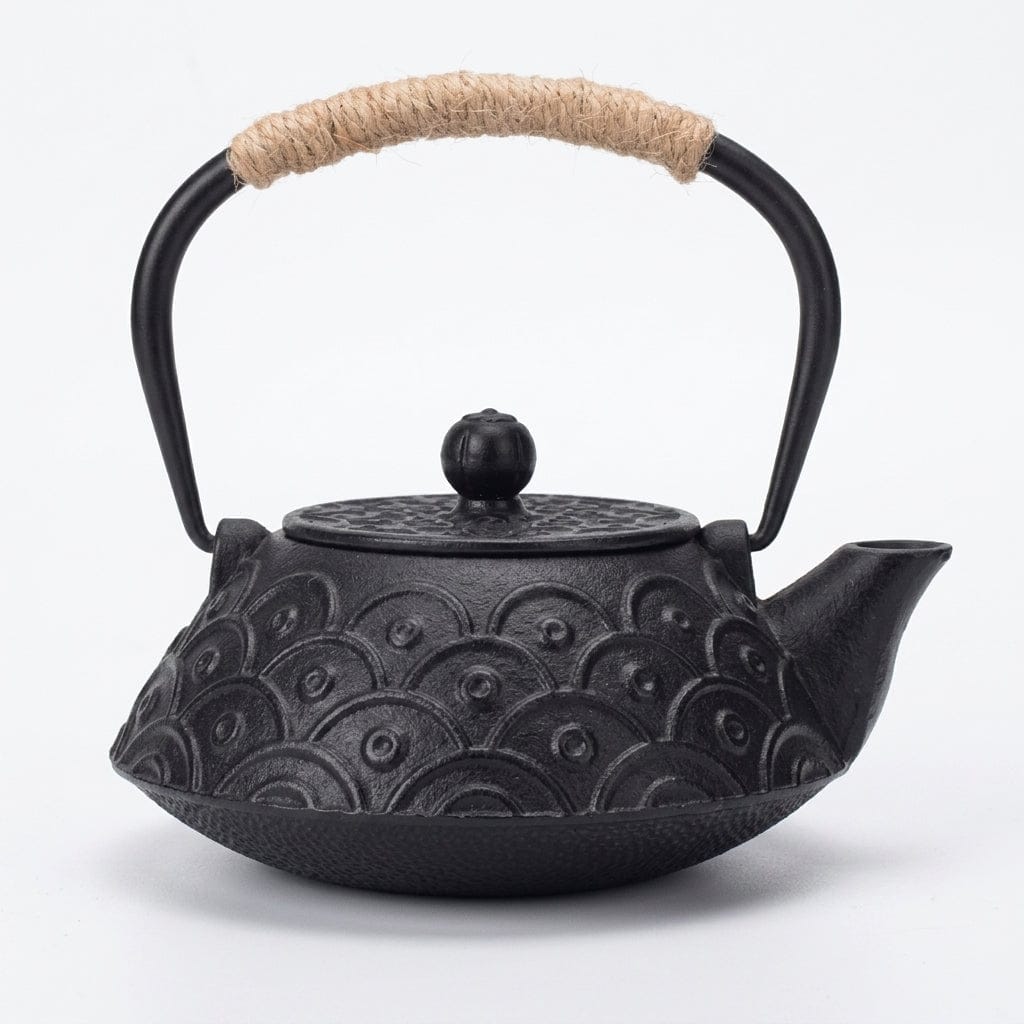Japanese Flat Cast Iron Teapot 900 ml with Circle Pattern